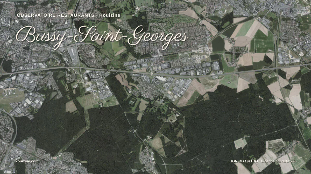 Vue aérienne de Bussy-Saint-Georges