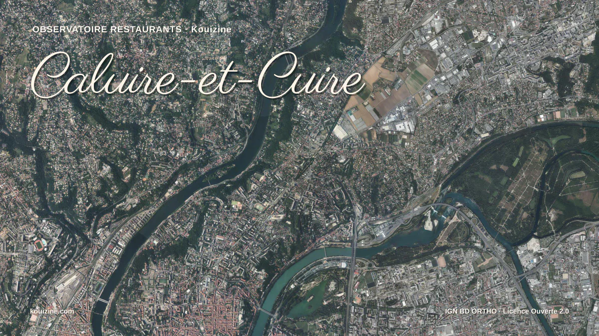 Vue aérienne de Caluire-et-Cuire