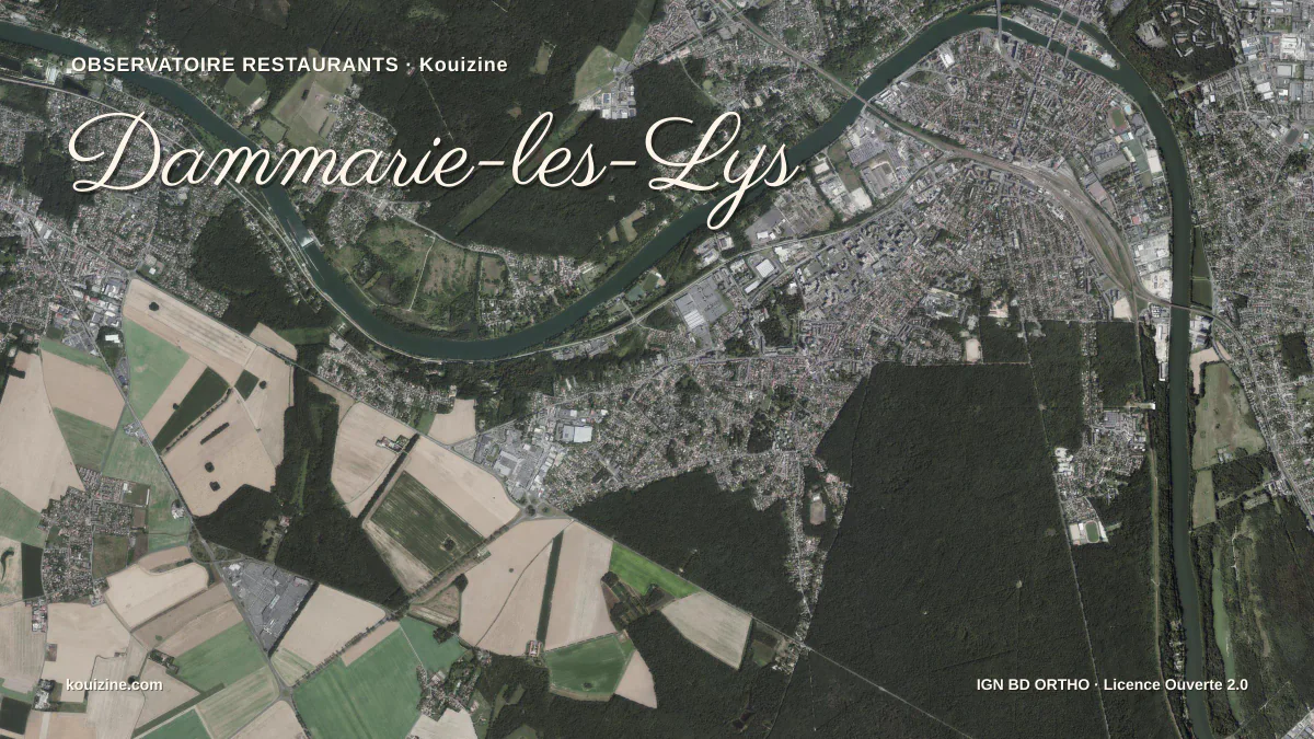 Vue aérienne de Dammarie-les-Lys
