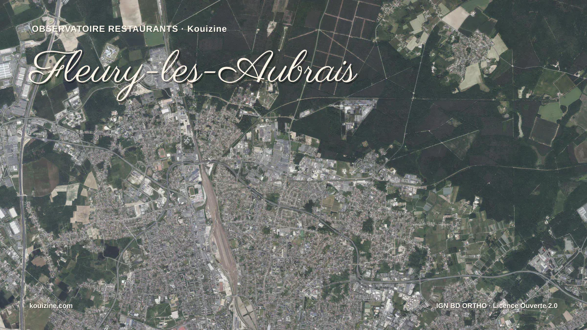 Vue aérienne de Fleury-les-Aubrais