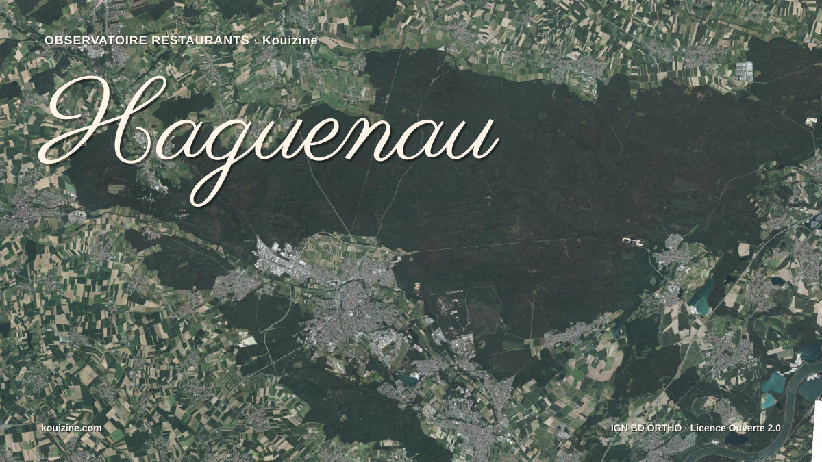 Vue aérienne de Haguenau