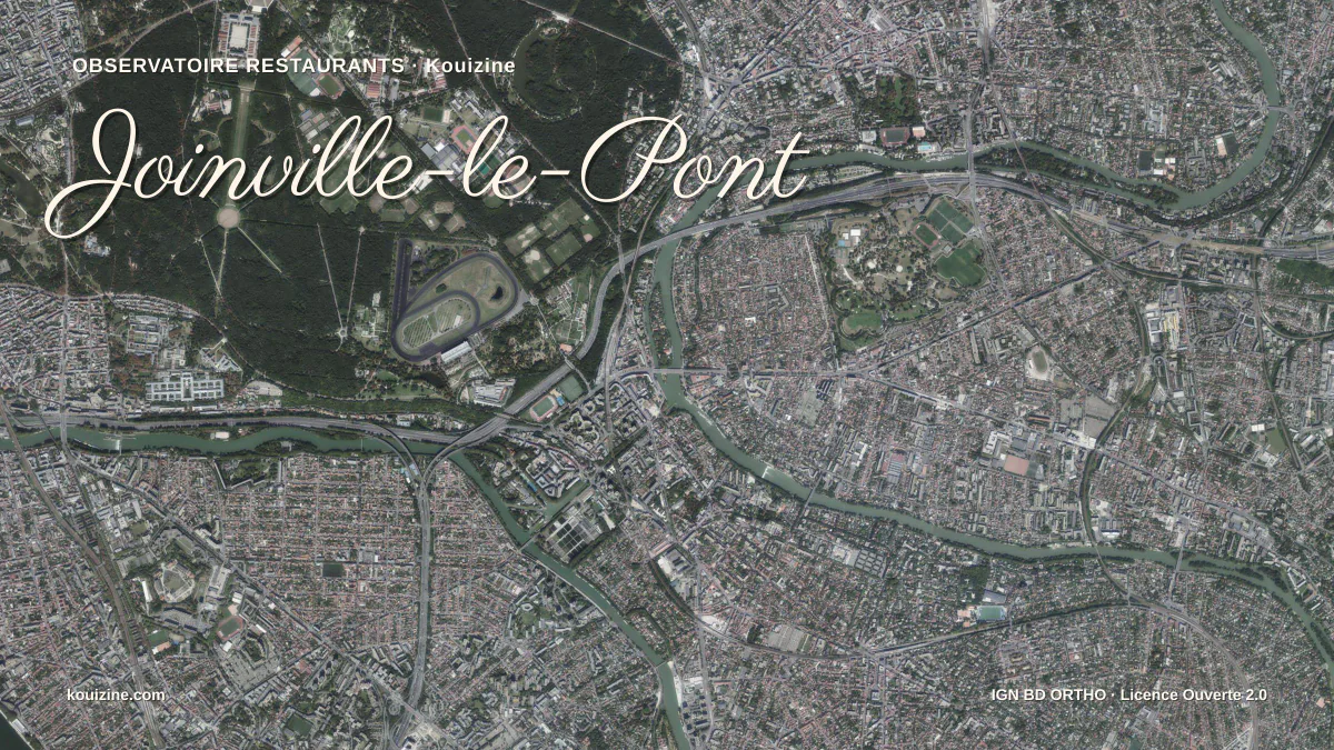 Vue aérienne de Joinville-le-Pont