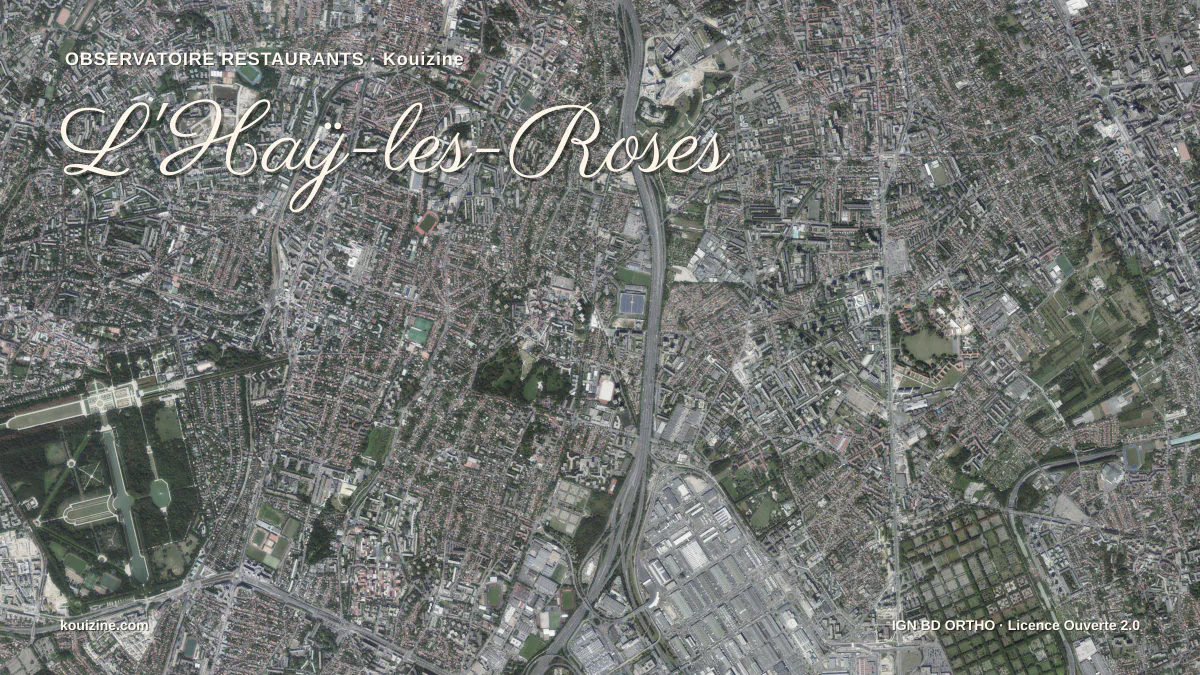 Vue aérienne de L'Haÿ-les-Roses