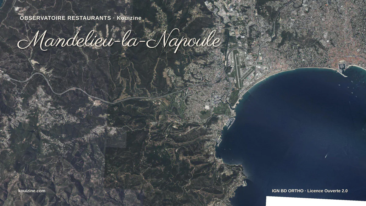 Vue aérienne de Mandelieu-la-Napoule