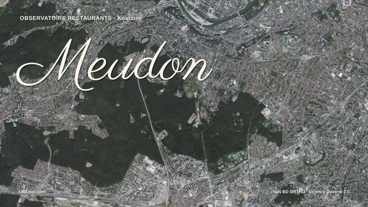 Vue aérienne de Meudon