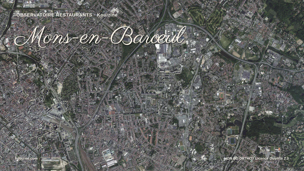 Vue aérienne de Mons-en-Barœul