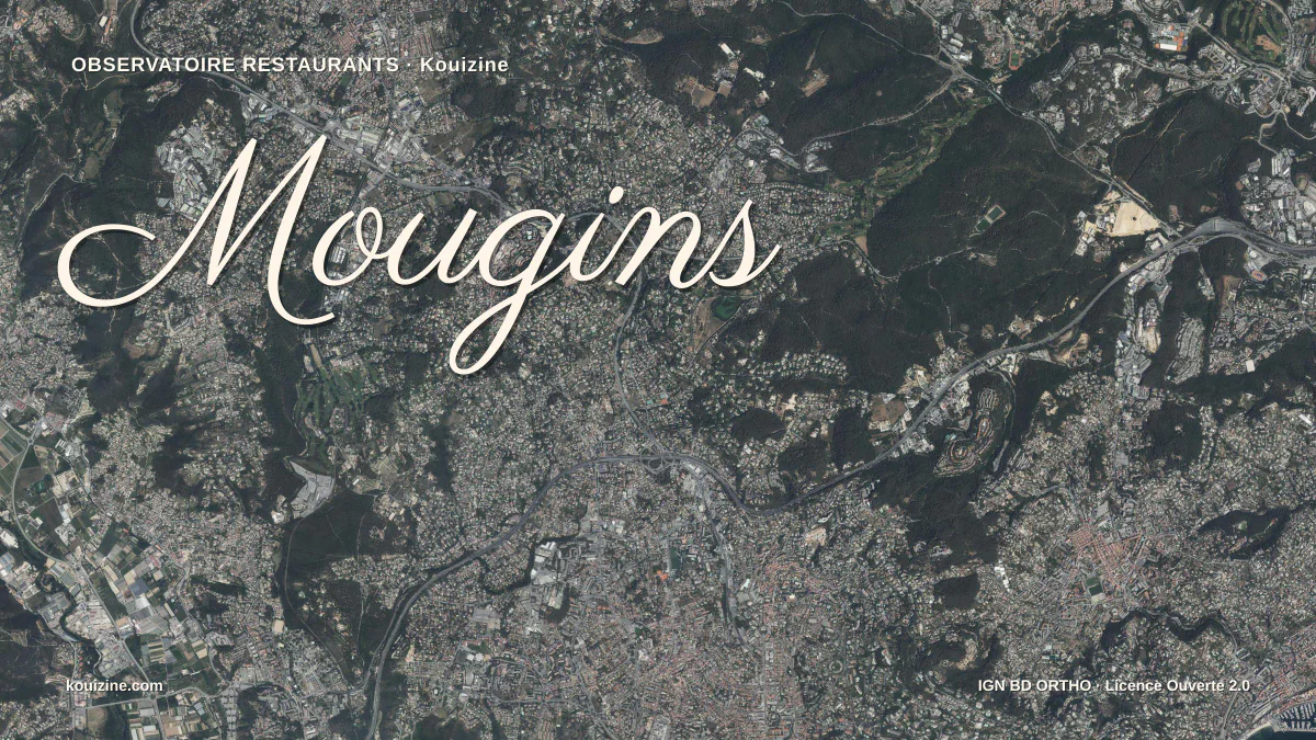 Vue aérienne de Mougins