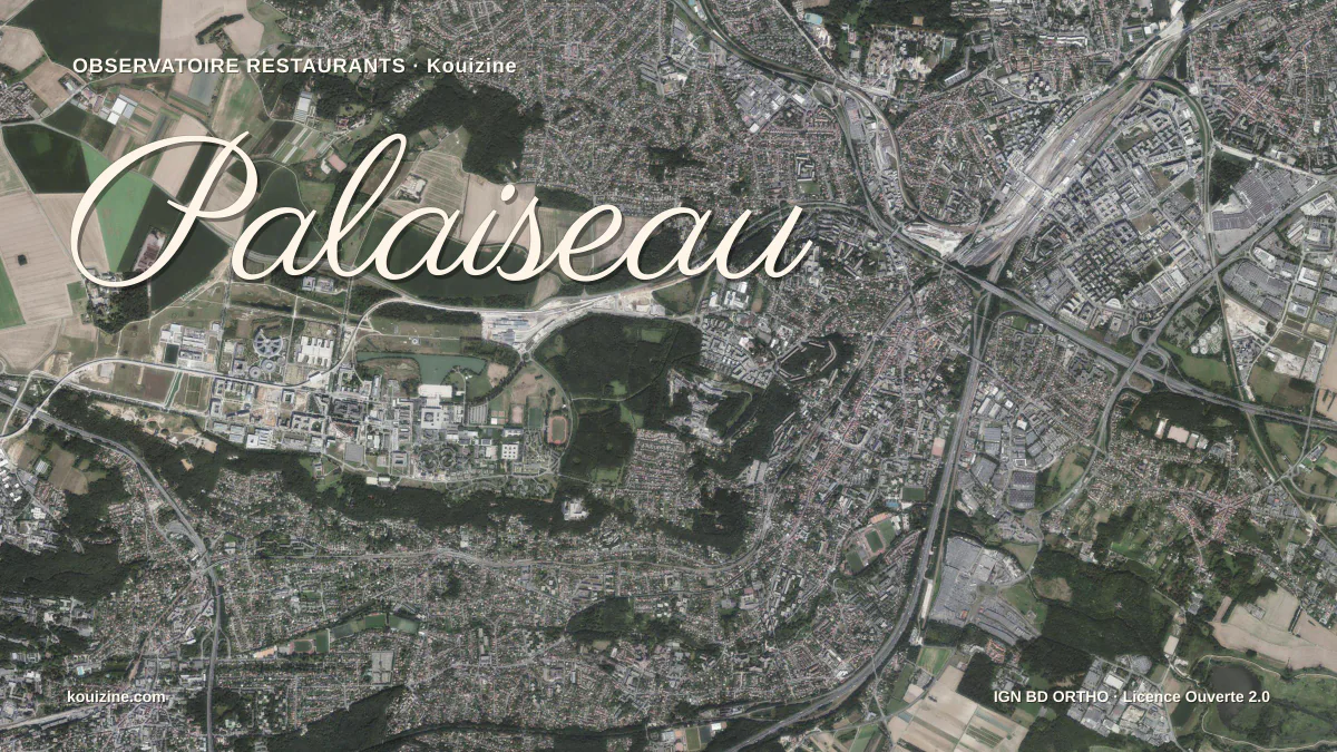 Vue aérienne de Palaiseau