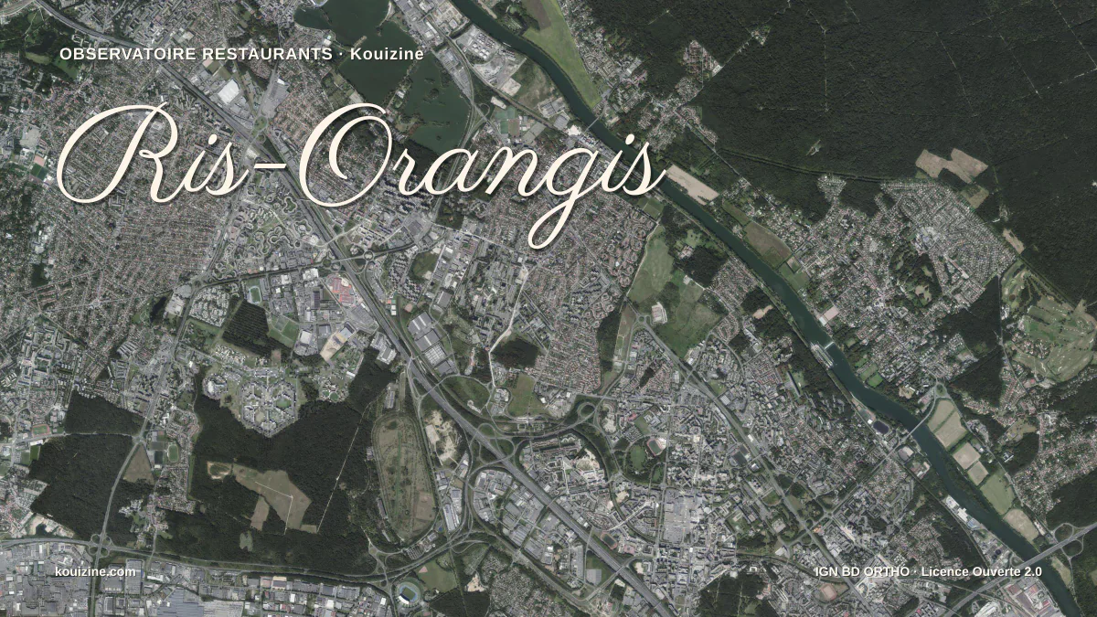 Vue aérienne de Ris-Orangis
