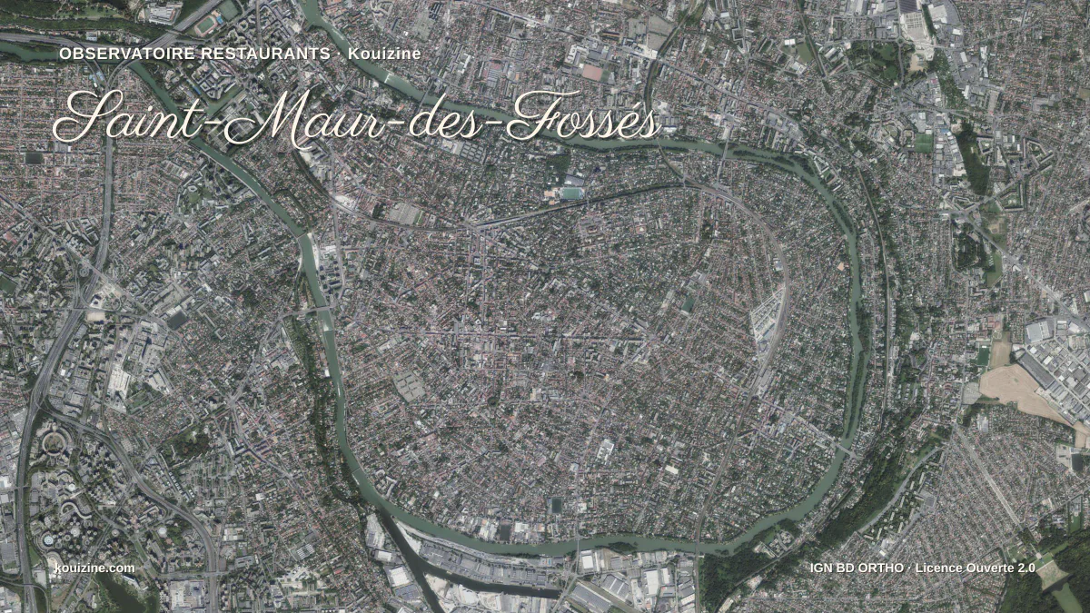 Vue aérienne de Saint-Maur-des-Fossés