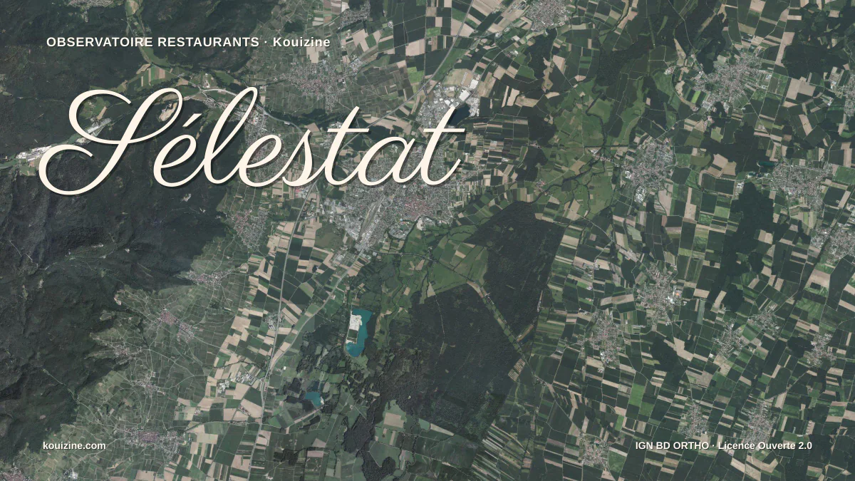Vue aérienne de Sélestat