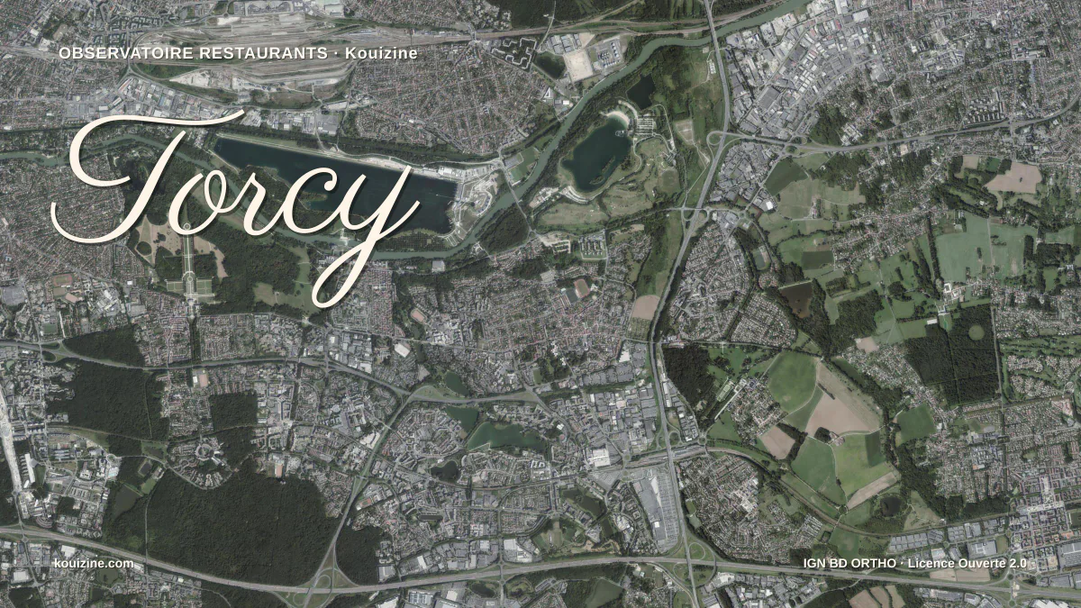 Vue aérienne de Torcy