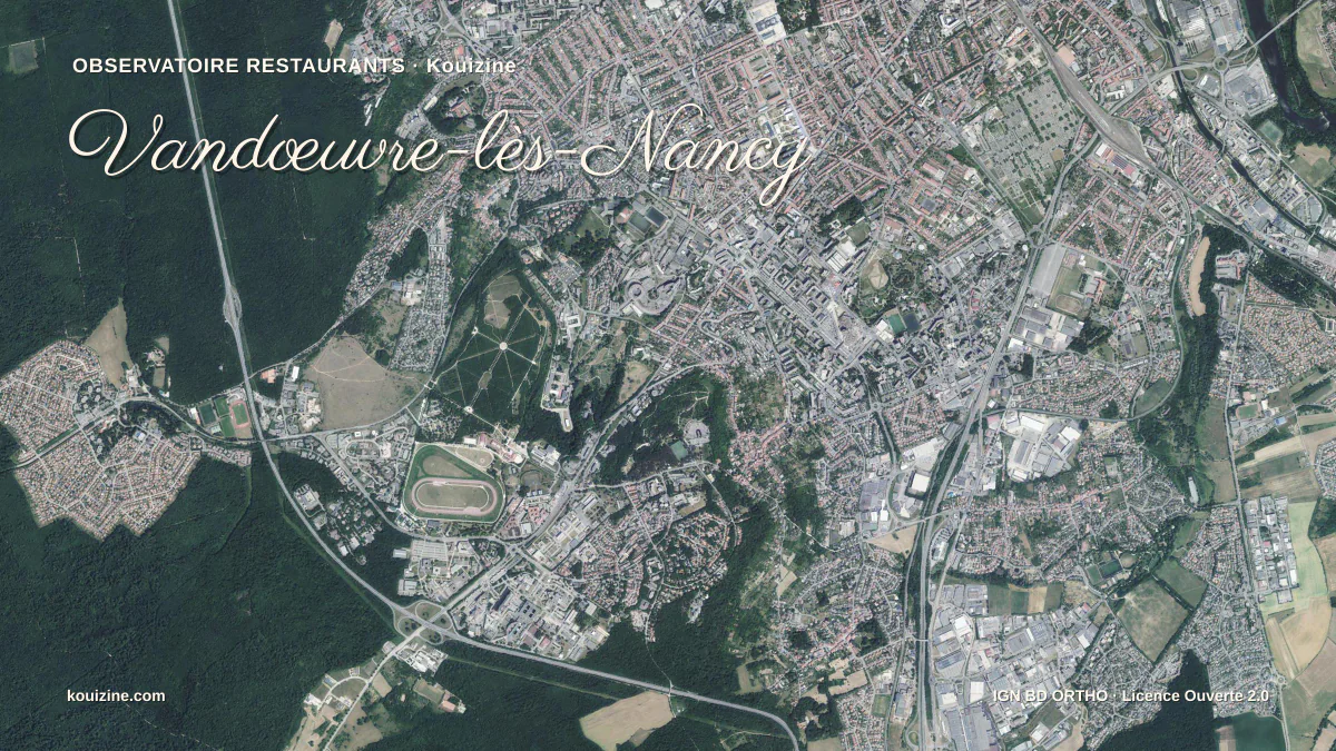 Vue aérienne de Vandœuvre-lès-Nancy