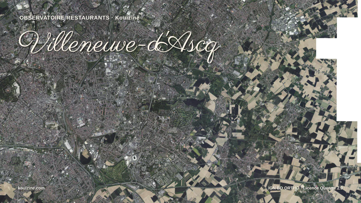 Vue aérienne de Villeneuve-d'Ascq